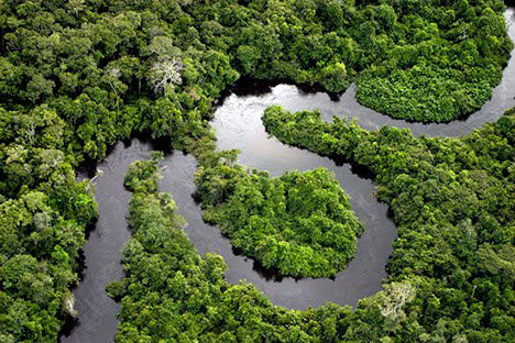Logistica Amazonia